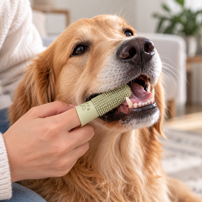 💛 Finger Pet Toothbrush | Soft Silicone Bristles & Gentle Dental Cleaning